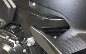 BMW F900XR 2023