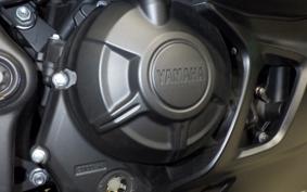 YAMAHA YZF R-3 2024 RH21J