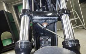 HARLEY XL883N 2016