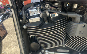 HARLEY FLFBS 2021 YGK