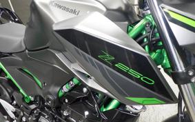 KAWASAKI Z250 Gen.2 2024 EX250Y