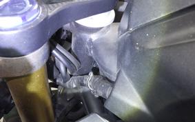 HONDA CBR250RR A 2008 MC51
