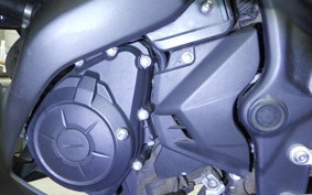 YAMAHA YZF-R25 2019 RG10J