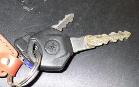 YAMAHA YZF-R25 2006 RG43J