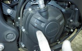 YAMAHA YZF-R25 2024 RG10J