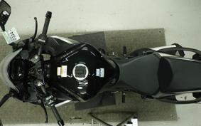 KAWASAKI NINJA 1000SX 2024 ZXT02K