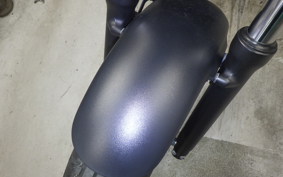 HONDA REBEL 250 2025 MC49