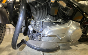 HARLEY FLS 2014 JR5