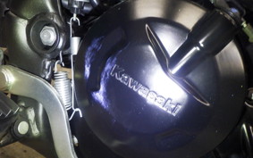 KAWASAKI KLX230 SM LX230A