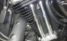 HARLEY XL883N 2017