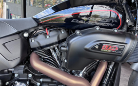 HARLEY FXDR114 2019 YVK
