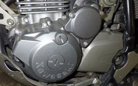 KAWASAKI SUPER SHERPA KL250G