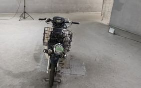 SUZUKI GLASS TRACKER BIG BOY NJ47A