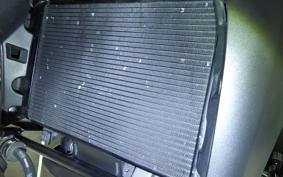 SUZUKI Vｽﾄﾛｰﾑ650XTA 2018 C733A