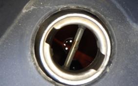 OTHER +UNREGISTERED MODEL by BDS TRIKE 2025