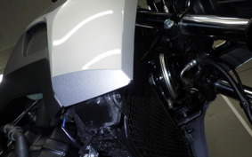 SUZUKI Vｽﾄﾛｰﾑ250A 2010