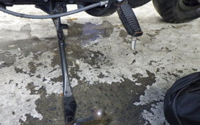 HARLEY XL883RI 2009