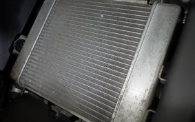 SUZUKI GSX-R125 2006 DL33B