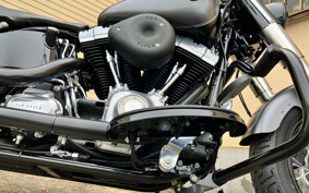 HARLEY FLS 2014 JR5