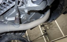 YAMAHA X FORCE 1996 SG79J