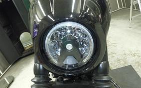 HARLEY RH975 2022