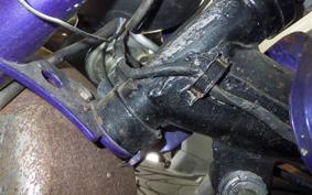 HONDA MONKEY 2009 Z50J
