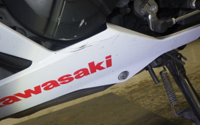 KAWASAKI Z250 2009 ER250C