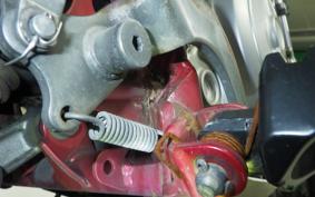 YAMAHA TRICKERS DG16J