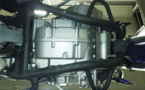 KAWASAKI KLX250D TRACKER X 2017 LX250V