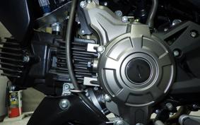 KAWASAKI Z125 PRO 2026 BR125H