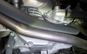 HONDA FAZE S 2022 MF11