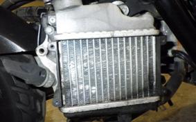 HONDA ZOOMER 1987 AF58