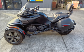 OTHER KANNAMUSPYDER F3-S 2016