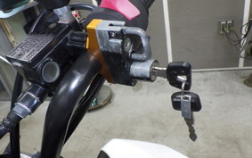 HONDA GROM