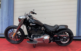 HARLEY FLFBS 2022 YGK