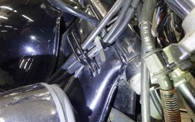 YAMAHA VIRAGO 250 TRIKE 3DM