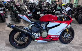 DUCATI 1199PANIGA-RES 2013