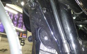 KAWASAKI Z900 2024 Z1F