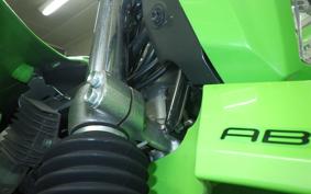 KAWASAKI KLX230S 2010 LX232A