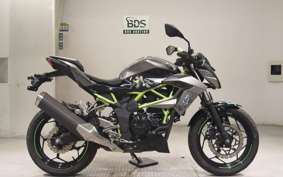 KAWASAKI Z250 SL BR250E