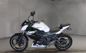 KAWASAKI Z250 ER250C