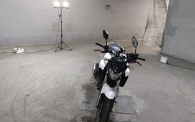 YAMAHA FZ25 RG42