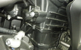 TRIUMPH TIGER1200GTEX 2024