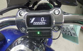 HARLEY FXBR1920 2025