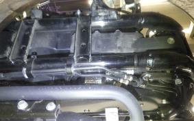 OTHER +HD. XL1200X 2021