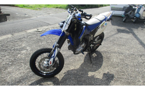 YAMAHA WR250X DG15J