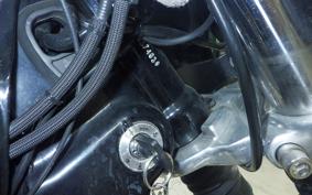 HARLEY FXDL 1580 2012