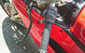DUCATI 1299PANIGA-RES 2015 ZDMH905JAFB