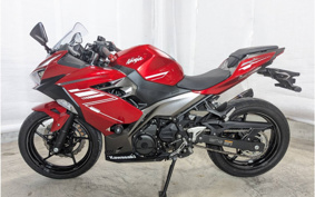 KAWASAKI NINJA 250 EX250P