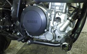 YAMAHA WR250X 2021 DG15J